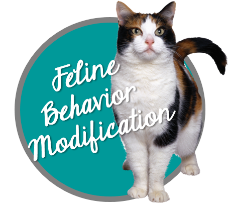 https://carriepawpins.com/wp-content/uploads/2017/02/Carrie-Pawpins-Dog-and-Cat-Training-Pet-Sitter-Dog-Walker-Feline-Behavior-Modification-Button.png